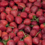 How to Grow Strawberries: From Planting to Harvest