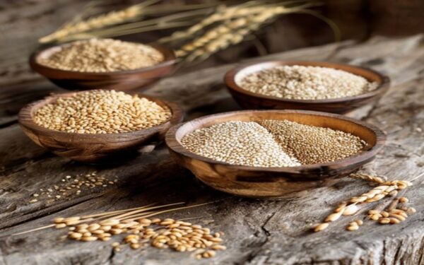 display of heirloom wheat, spelt, emmer, einkorn varieties in bowls