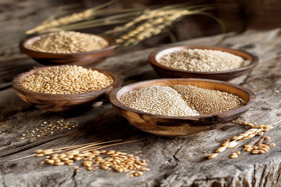 display of heirloom wheat, spelt, emmer, einkorn varieties in bowls