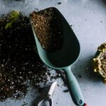 How to Compost at Home: The Complete Guide to Making Rich Garden Compost