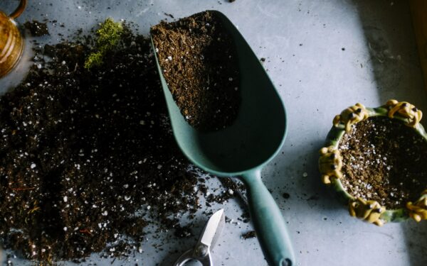 How to Compost at Home: The Complete Guide to Making Rich Garden Compost